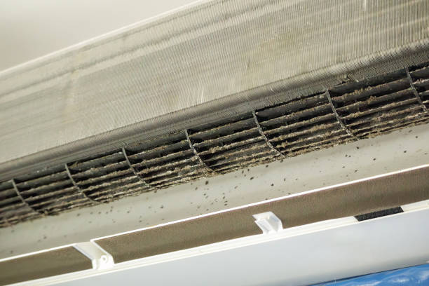 Best Air Duct Cleaning Near Me  in Holiday Shores, IL