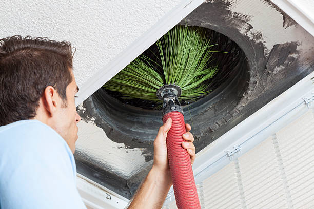 Best Residential Air Duct Cleaning  in Holiday Shores, IL
