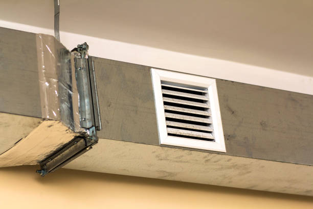 Best Ductwork Cleaning Services  in Holiday Shores, IL